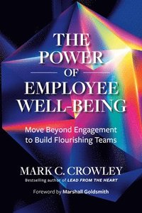 bokomslag Power of Employee Well-Being