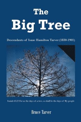 bokomslag Big Tree
