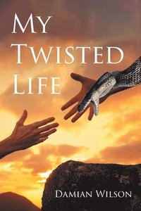 bokomslag My Twisted Life