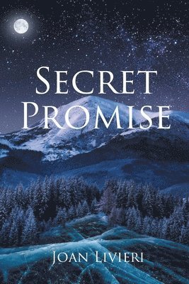 Secret Promise 1