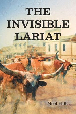bokomslag Invisible Lariat