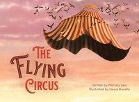 bokomslag The Flying Circus