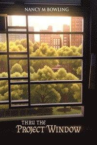 bokomslag Thru The Project Window