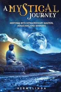 bokomslag A mystical journey