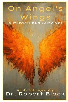 bokomslag On Angel's Wings-A Miraculous Survival (New Edition)