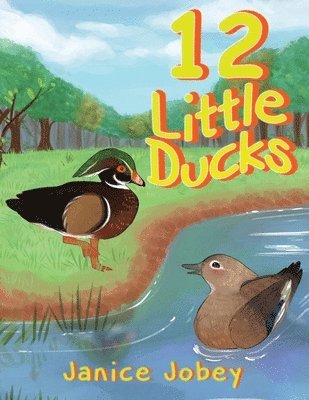 12 Little Ducks