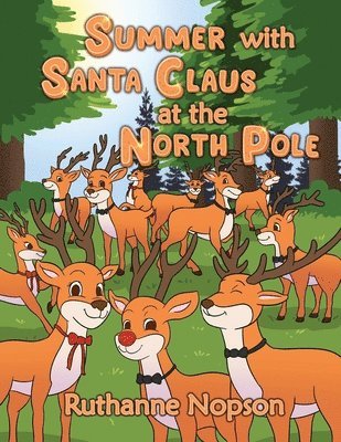 Summer with Santa Claus at the North Pole 1