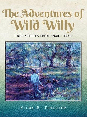 bokomslag Adventures of Wild Willy