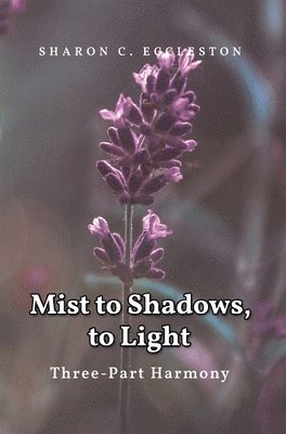 Mist to Shadows, to Light 1