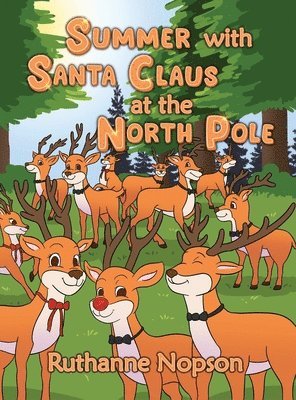 bokomslag Summer with Santa Claus at the North Pole