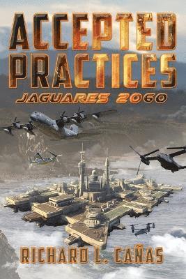 bokomslag Accepted Practices
