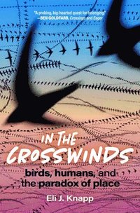 bokomslag In the Crosswinds: Birds, Humans, and the Paradox of Place