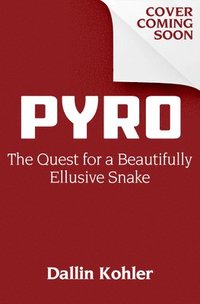 bokomslag Pyro: The Quest for a Beautifully Elusive Snake