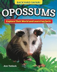 bokomslag Kids' Backyard Safari: Opossums: Explore Their World and Learn Fun Facts