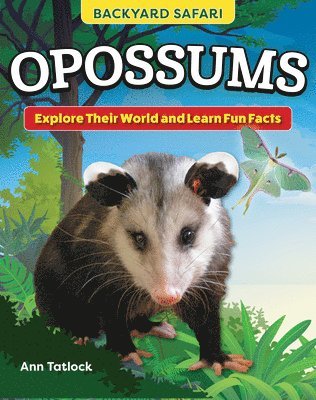 bokomslag Kids' Backyard Safari: Opossums