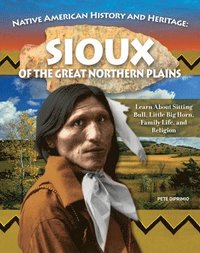 bokomslag Native American History and Heritage: Sioux: The Lifeways and Culture of America's First Peoples