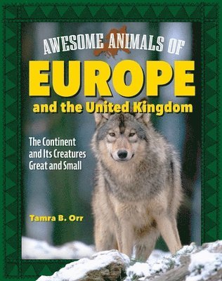 bokomslag Orr, T: Awesome Animals of Europe and the United Kingdom