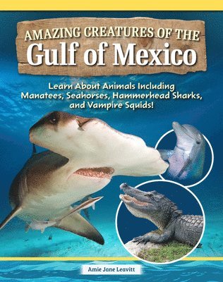 bokomslag Amazing Creatures of the Gulf of Mexico: Learn about Animals Including Manatees, Seahorses, Hammerhead Sharks, and Vampire Squids!