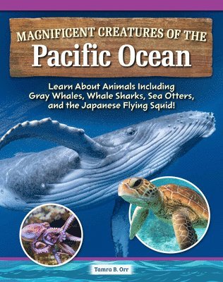 bokomslag Orr, T: Magnificent Creatures of the Pacific Ocean