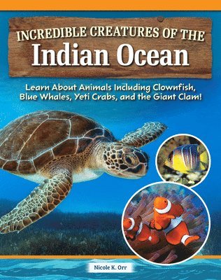 bokomslag Incredible Creatures of the Indian Ocean: Learn about Animals Including Clownfish, Blue Whales, Yeti Crabs, and the Giant Clam!