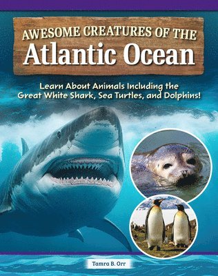 bokomslag Awesome Creatures of the Atlantic Ocean: Learn about Animals Including the Great White Shark, Sea Turtles, and Dolphins!