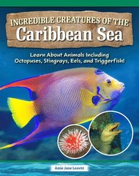 bokomslag Incredible Creatures of the Caribbean Sea: Learn about Animals Including Octopuses, Stingrays, Eels, and Triggerfish!