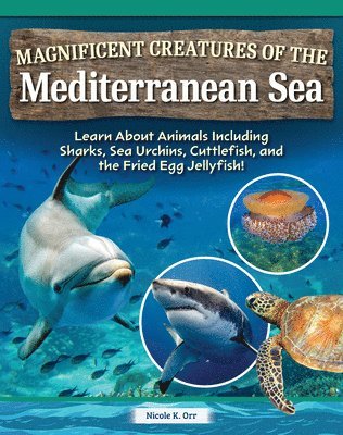 Magnificent Creatures of the Mediterranean Sea: Learn about Animals Including Sharks, Sea Urchins, Cuttlefish, and the Fried Egg Jellyfish! 1