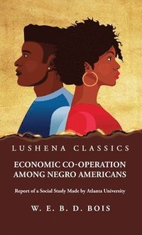 bokomslag Economic Co-Operation Among Negro Americans