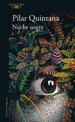 bokomslag Noche Negra / Dark Night