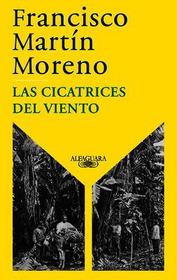 Las Cicatrices del Viento / The Scars of the Wind
