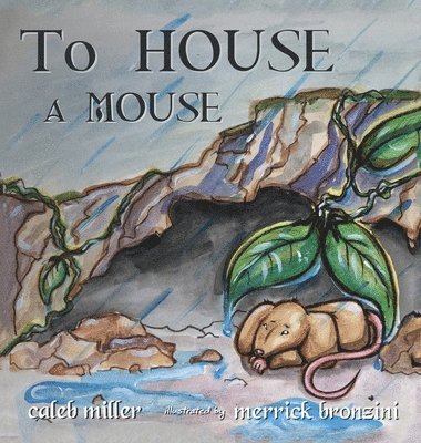 To House A Mouse 1