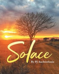bokomslag Solace