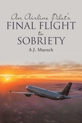 An Airline Pilot's Final Flight to Sobriety 1