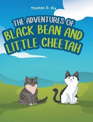 bokomslag The Adventures of Black Bean and Little Cheetah