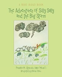 bokomslag The Adventures of Silly Sally and the Big Storm