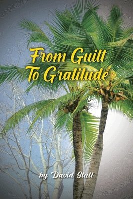 bokomslag From Guilt To Gratitude