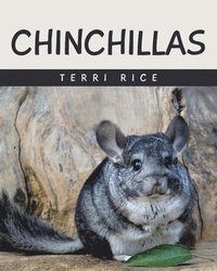 bokomslag Chinchillas