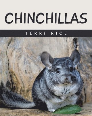 bokomslag Chinchillas