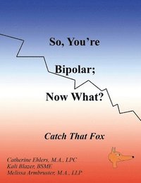 bokomslag So, You're Bipolar; Now What?