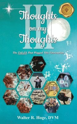 bokomslag Thoughts on my Thoughts Book III