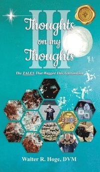 bokomslag Thoughts on my Thoughts Book III