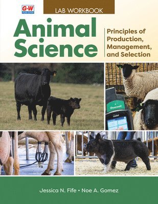 Jessica Fife, Noe A. Gomez - Animal Science: Principles of Production, Management, and Selection, Häftad