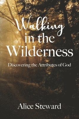 Walking in the Wilderness Discovering the Attributes of God 1