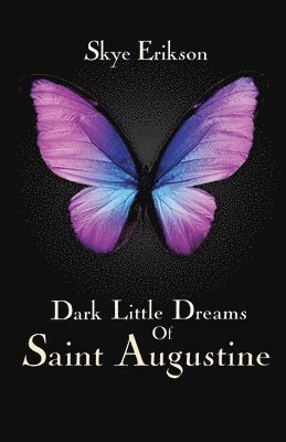 bokomslag Dark Little Dreams of Saint Augustine