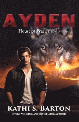 bokomslag Ayden