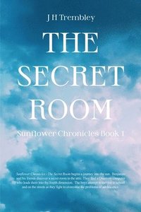 bokomslag The Secret Room