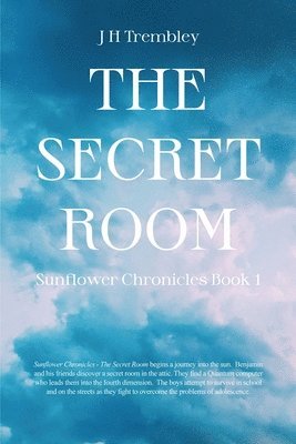 bokomslag The Secret Room