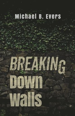 bokomslag Breaking Down Walls