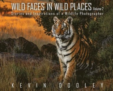 bokomslag Wild Faces in Wild Places Volume 2: Stories and Inspirations of a Wildlife Photographer