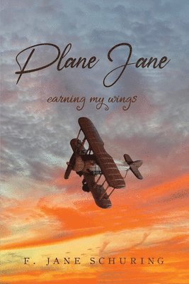 bokomslag Plane Jane